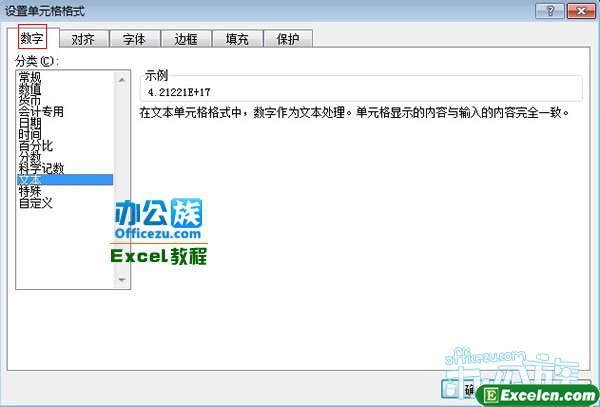 在数字选项卡中单击分类下的文本