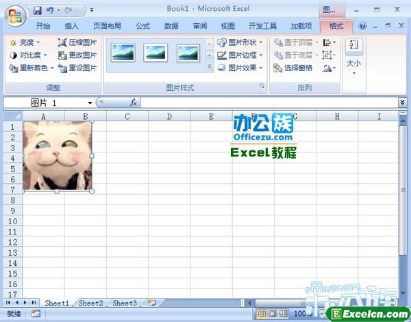 将图片插入到了工作表中