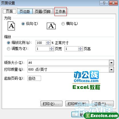 然后切换到工作表标签