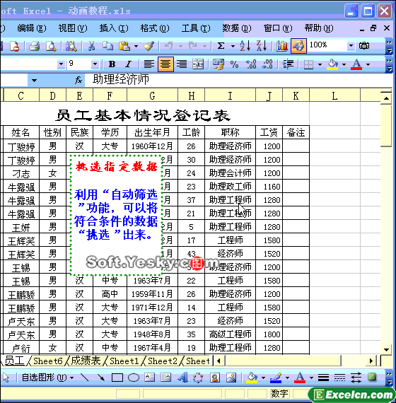 Excel表格如何自动筛选