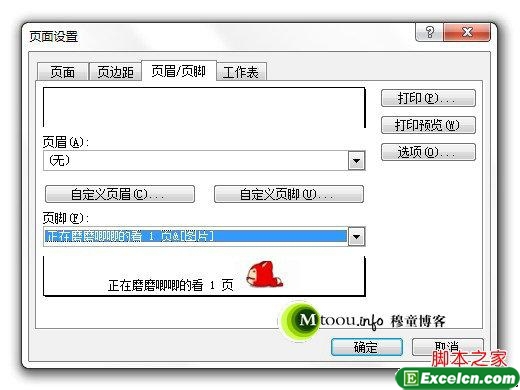 Excel的页码设置里面还可以插入图片哦