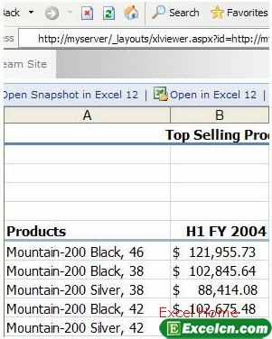 Excel 2007新知：介绍Excel服务