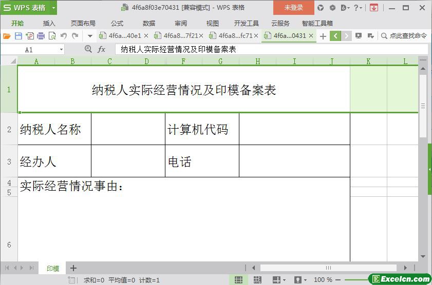 excel纳税人实际经营情况及印模备案表模板